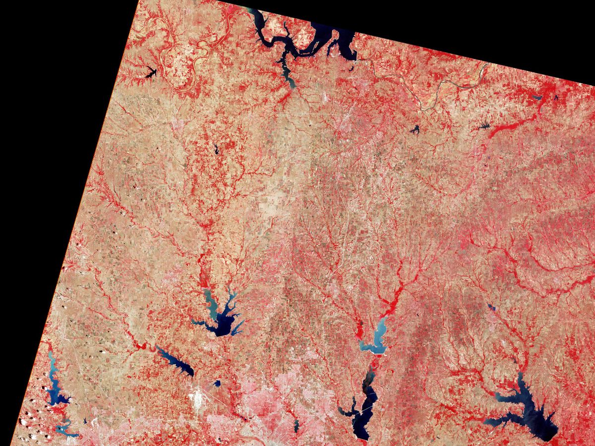卫星图像显示植被为红色，城市和岩石地区为灰色和白色。