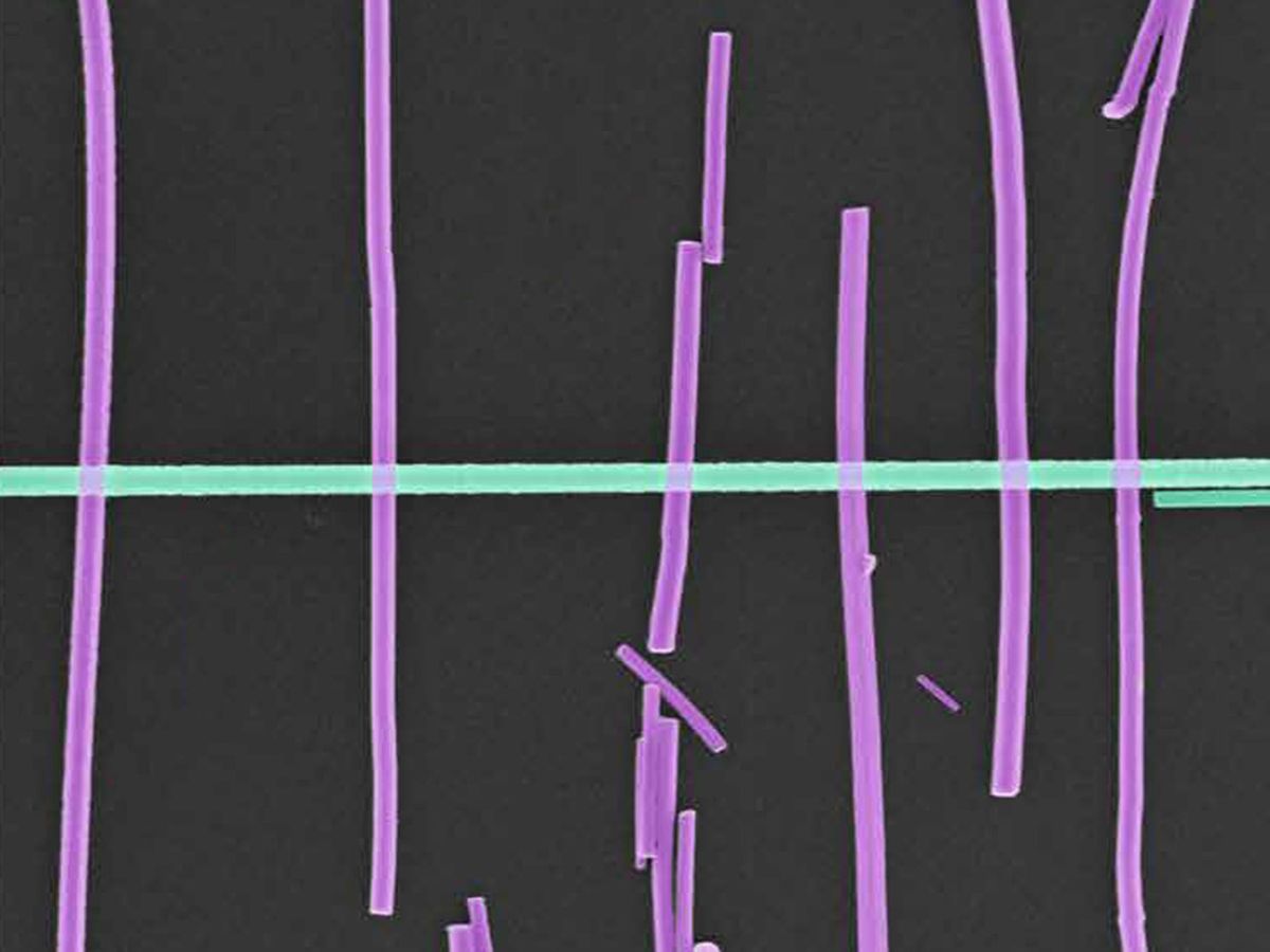 一组垂直的紫色线条，有些是断裂的，位于平分图像的水平绿线上