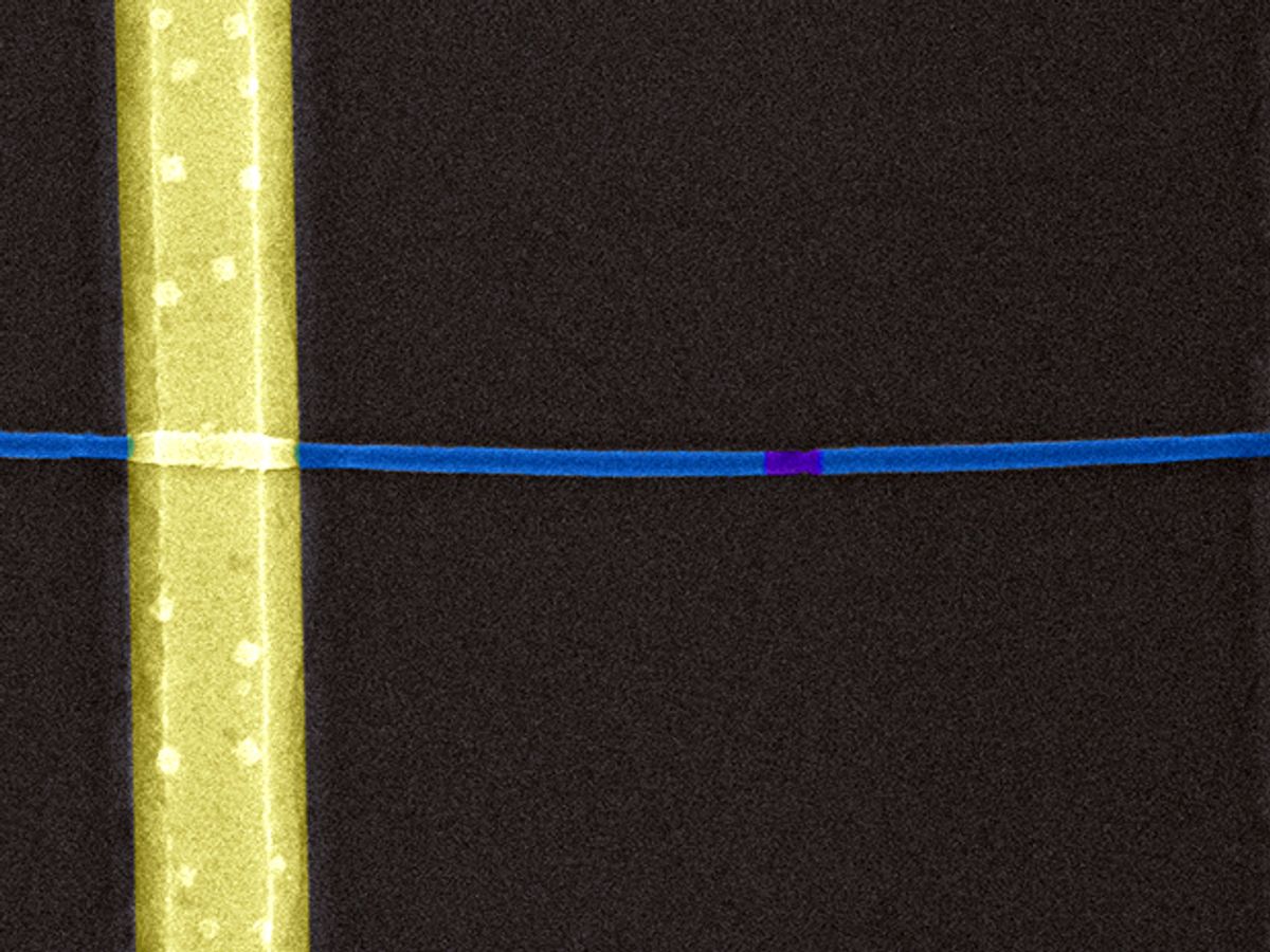 假彩色显微镜图像的纳米线看起来像一个厚厚的金色垂直带